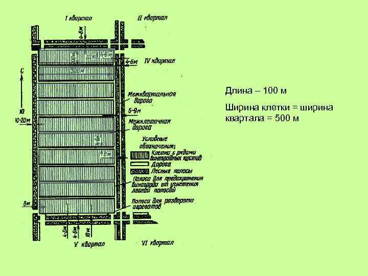 Длина – 100 м Ширина клетки = ширина квартала = 500 м 