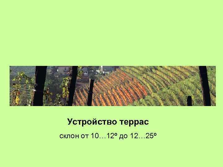 Устройство террас склон от 10… 12º до 12… 25º 
