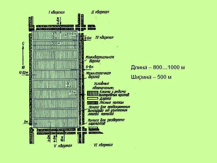 Длина – 800… 1000 м Ширина – 500 м 
