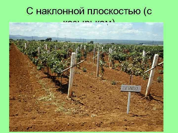 С наклонной плоскостью (с козырьком) 