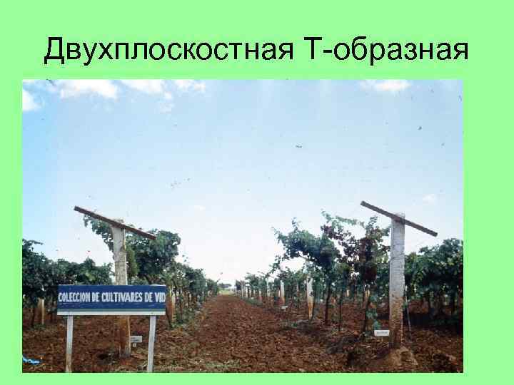 Двухплоскостная Т-образная 