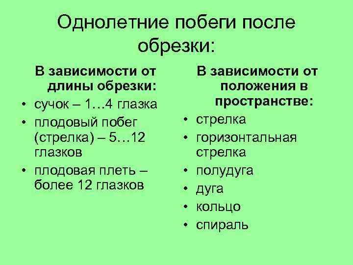 Однолетние побеги после обрезки: В зависимости от длины обрезки: • сучок – 1… 4