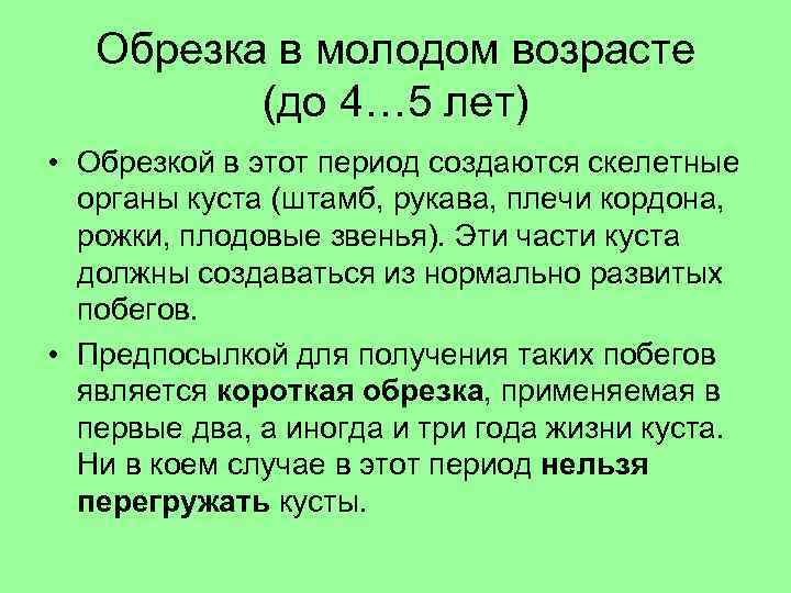 Обрезка в молодом возрасте (до 4… 5 лет) • Обрезкой в этот период создаются