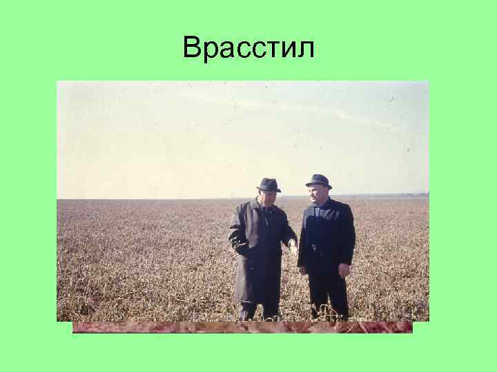 Врасстил 