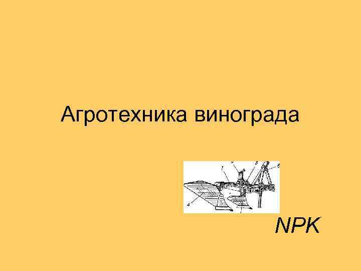 Агротехника винограда NPK 