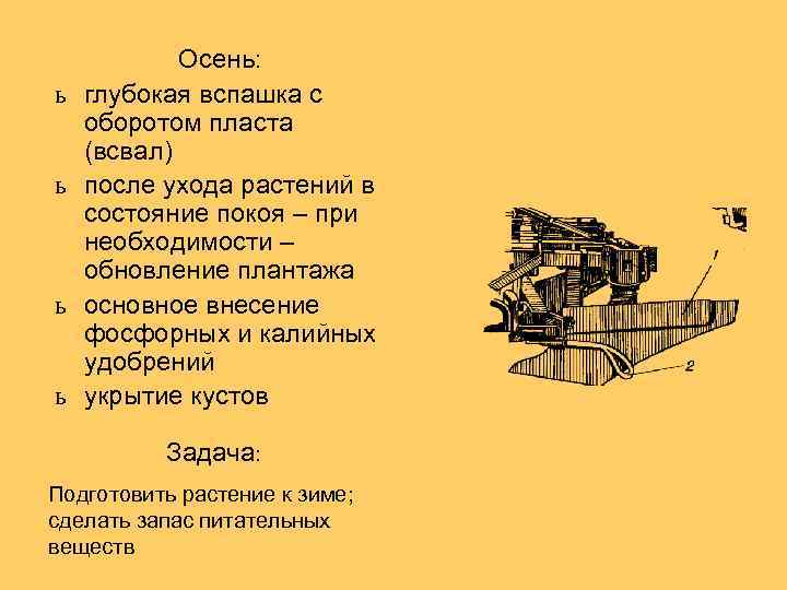 ь ь Осень: глубокая вспашка с оборотом пласта (всвал) после ухода растений в состояние