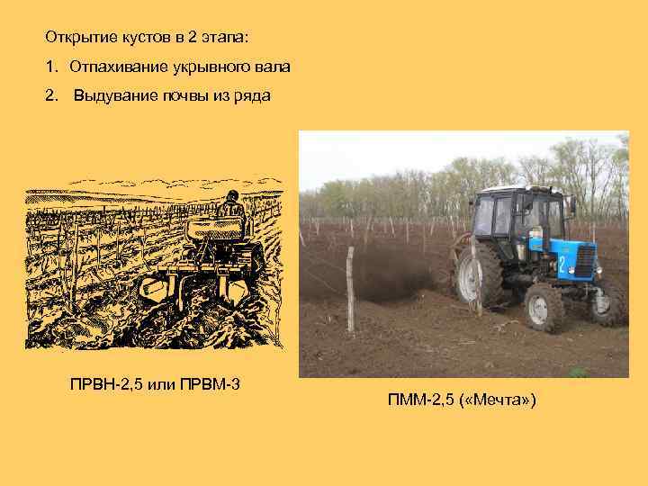 Открытие кустов в 2 этапа: 1. Отпахивание укрывного вала 2. Выдувание почвы из ряда