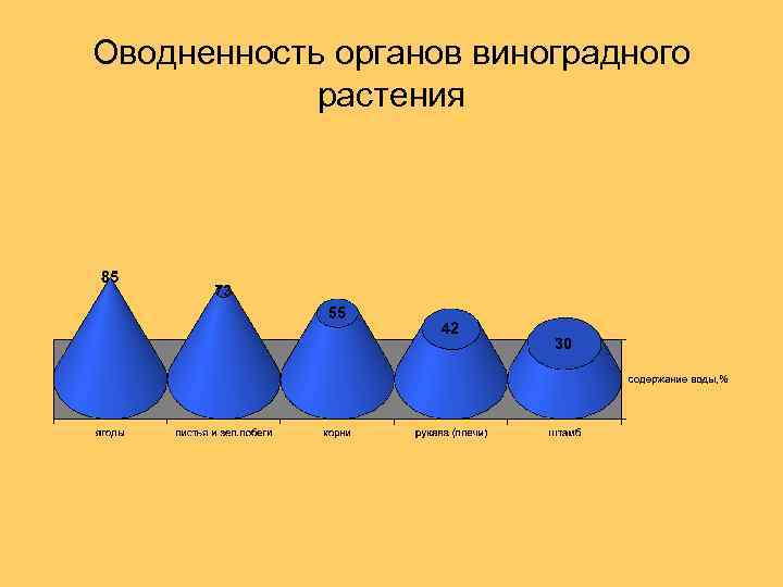 Оводненность органов виноградного растения 