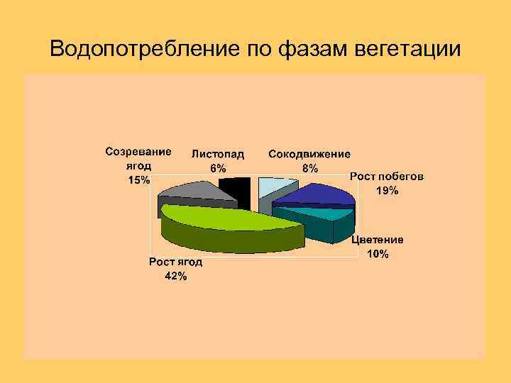 Водопотребление по фазам вегетации 