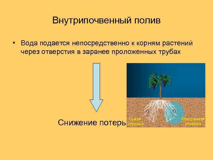 Внутрипочвенный полив • Вода подается непосредственно к корням растений через отверстия в заранее проложенных