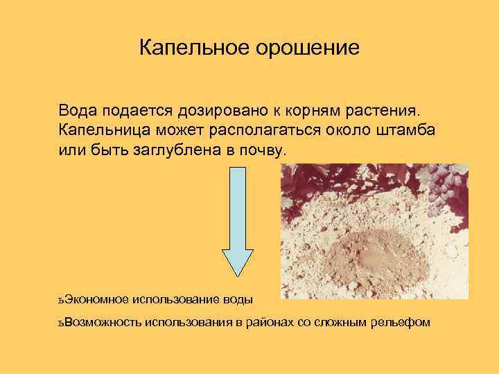 Капельное орошение Вода подается дозировано к корням растения. Капельница может располагаться около штамба или