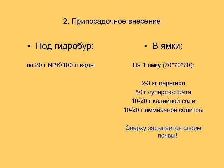 2. Припосадочное внесение • Под гидробур: • В ямки: по 80 г NPK/100 л