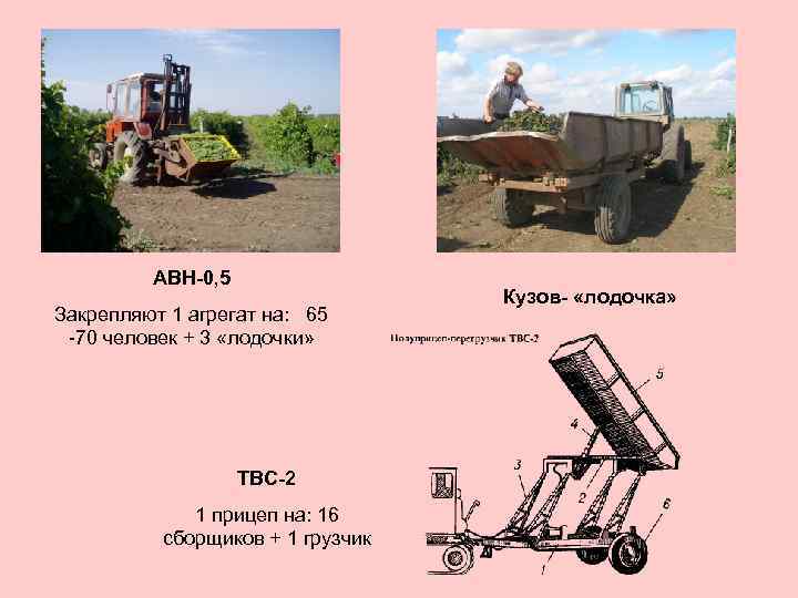 АВН-0, 5 Закрепляют 1 агрегат на: 65 -70 человек + 3 «лодочки» ТВС-2 1