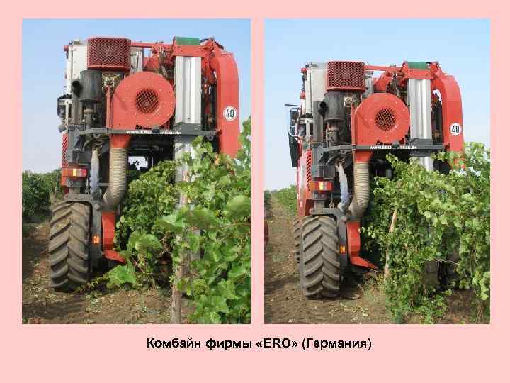 Комбайн фирмы «ERO» (Германия) 