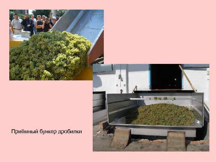 Приёмный бункер дробилки 