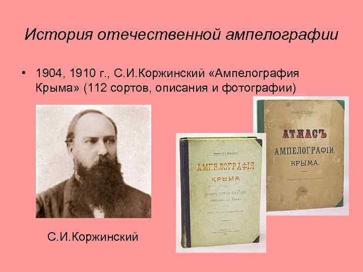 История отечественной ампелографии • 1904, 1910 г. , С. И. Коржинский «Ампелография Крыма» (112