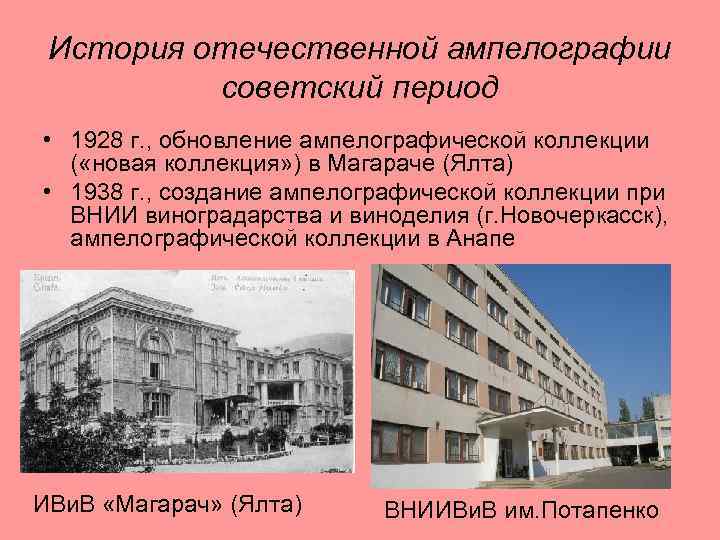 История отечественной ампелографии советский период • 1928 г. , обновление ампелографической коллекции ( «новая