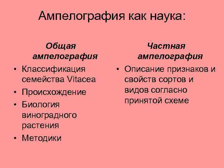 Ампелография как наука: • • Общая ампелография Классификация семейства Vitacea Происхождение Биология виноградного растения