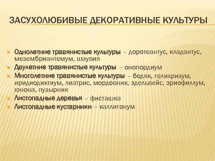 ЗАСУХОЛЮБИВЫЕ ДЕКОРАТИВНЫЕ КУЛЬТУРЫ Однолетние травянистые культуры – доротеантус, кладантус, мезембриантемум, шаувия Двулетние травянистые культуры