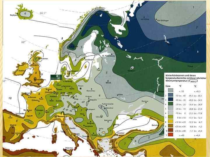 Европейская россия климат. Карта климатических зон Европы. Климатическая карта Европы изотермы. Изотерма января в Европе на карте. Карта климатических поясов Европы.