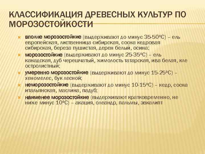 КЛАССИФИКАЦИЯ ДРЕВЕСНЫХ КУЛЬТУР ПО МОРОЗОСТОЙКОСТИ вполне морозостойкие (выдерживают до минус 35 -50 о. С)