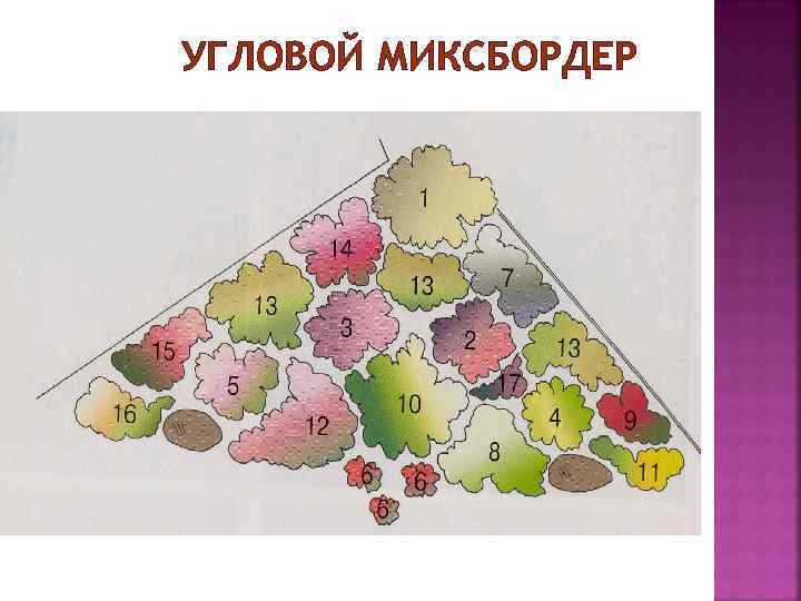 УГЛОВОЙ МИКСБОРДЕР 