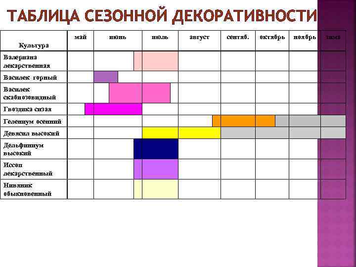 ТАБЛИЦА СЕЗОННОЙ ДЕКОРАТИВНОСТИ май Культура Валериана лекарственная Василек горный Василек скабиозовидный Гвоздика сизая Гелениум