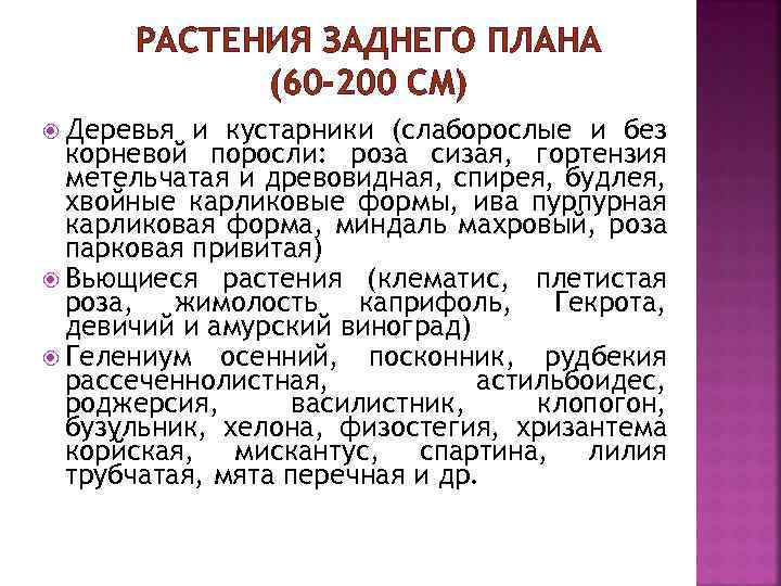 РАСТЕНИЯ ЗАДНЕГО ПЛАНА (60 -200 СМ) Деревья и кустарники (слаборослые и без корневой поросли: