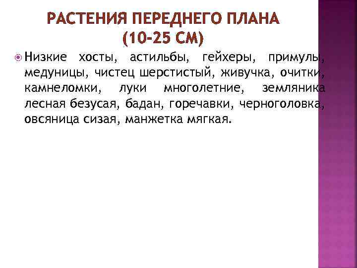 РАСТЕНИЯ ПЕРЕДНЕГО ПЛАНА (10 -25 СМ) Низкие хосты, астильбы, гейхеры, примулы, медуницы, чистец шерстистый,