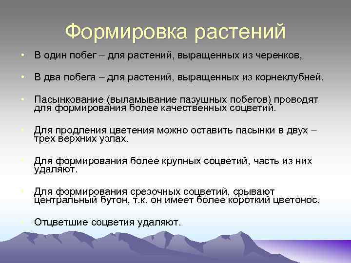 Формировка растений • В один побег – для растений, выращенных из черенков, • В