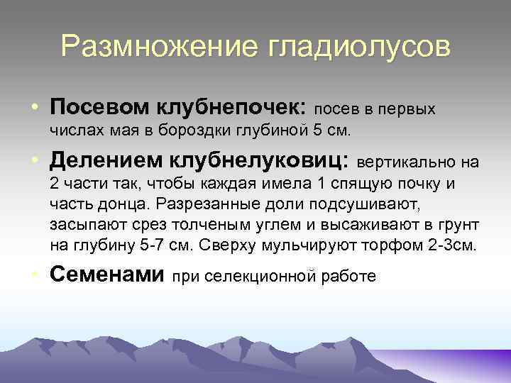 Размножение гладиолусов • Посевом клубнепочек: посев в первых числах мая в бороздки глубиной 5