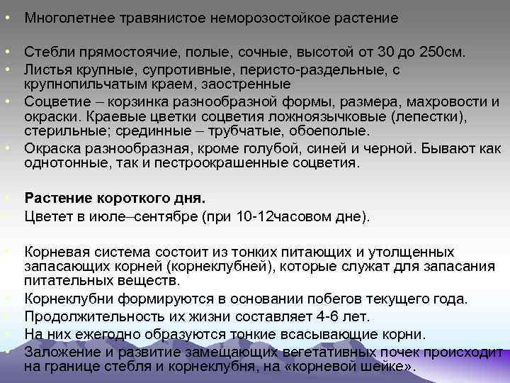  • Многолетнее травянистое неморозостойкое растение • Стебли прямостоячие, полые, сочные, высотой от 30