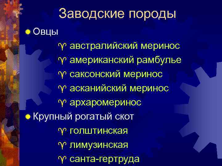 Заводские породы ® Овцы австралийский меринос ^ американский рамбулье ^ саксонский меринос ^ асканийский