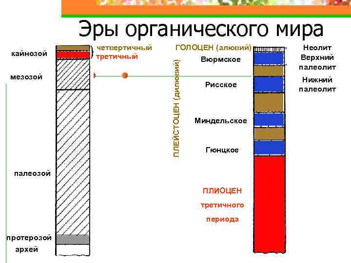 Эры органического мира мезозой четвертичный третичный ГОЛОЦЕН (алювий) ПЛЕЙСТОЦЕН (дилювий) кайнозой Вюрмское Неолит Верхний