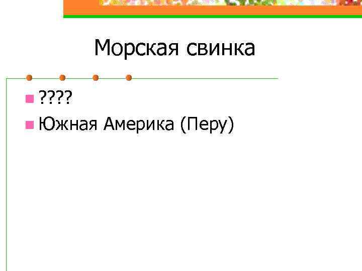 Морская свинка n ? ? n Южная Америка (Перу) 