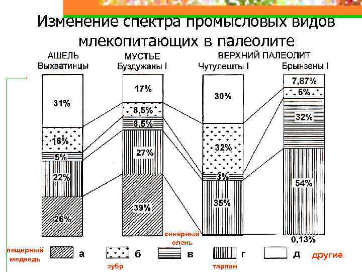 Изменение спектра промысловых видов млекопитающих в палеолите пещерный медведь северный олень другие зубр тарпан
