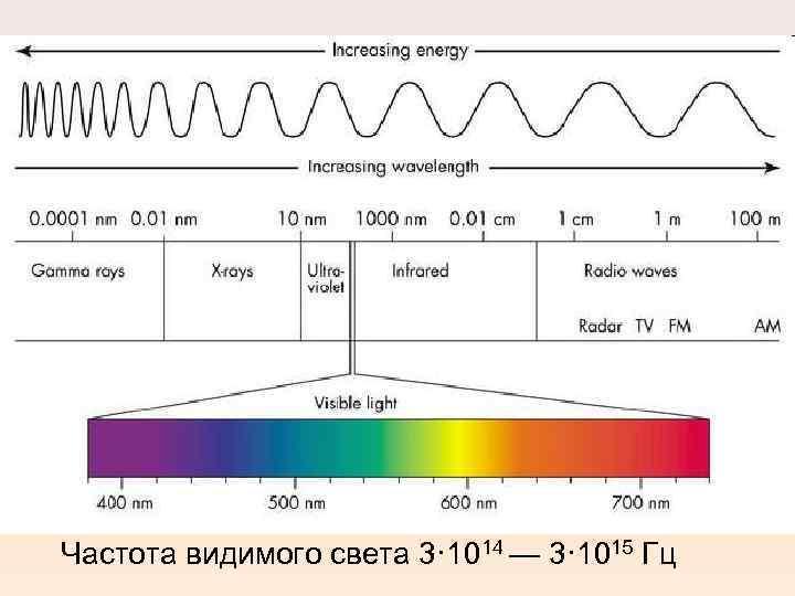 Частота видимого света 3· 1014 — 3· 1015 Гц 