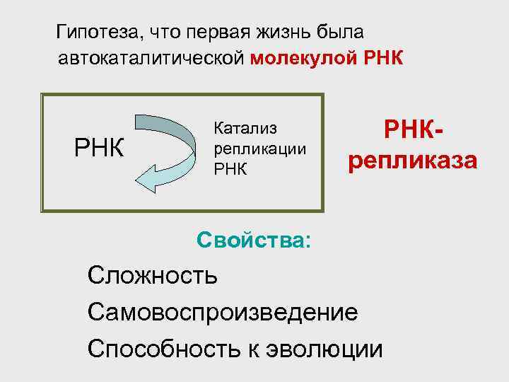 Гипотеза, что первая жизнь была автокаталитической молекулой РНК Катализ репликации РНКрепликаза Свойства: Сложность Самовоспроизведение