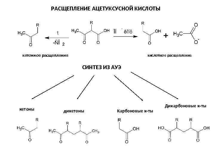 РАСЩЕПЛЕНИЕ АЦЕТУКСУСНОЙ КИСЛОТЫ кетонное расщепление кислотное расщепление СИНТЕЗ ИЗ АУЭ кетоны дикетоны Карбоновые к-ты