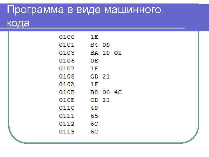 Программа в виде машинного кода 