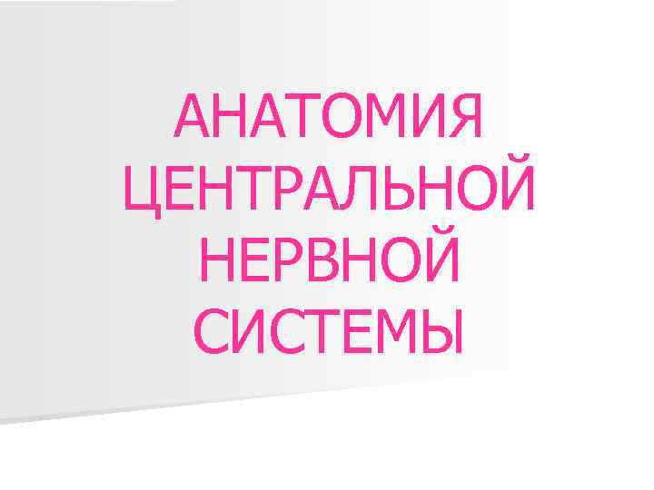АНАТОМИЯ ЦЕНТРАЛЬНОЙ НЕРВНОЙ СИСТЕМЫ 