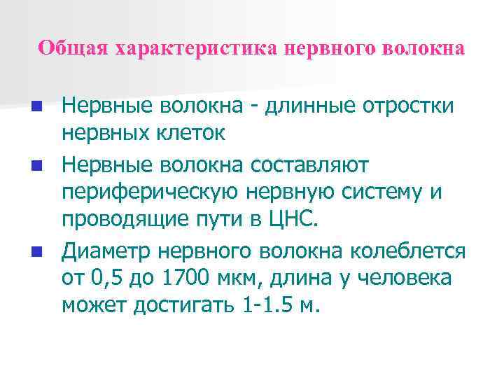 Общая характеристика нервного волокна Нервные волокна - длинные отростки нервных клеток n Нервные волокна