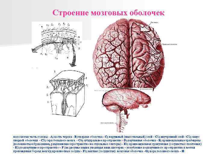 Резаная рана волосистой части головы карта вызова