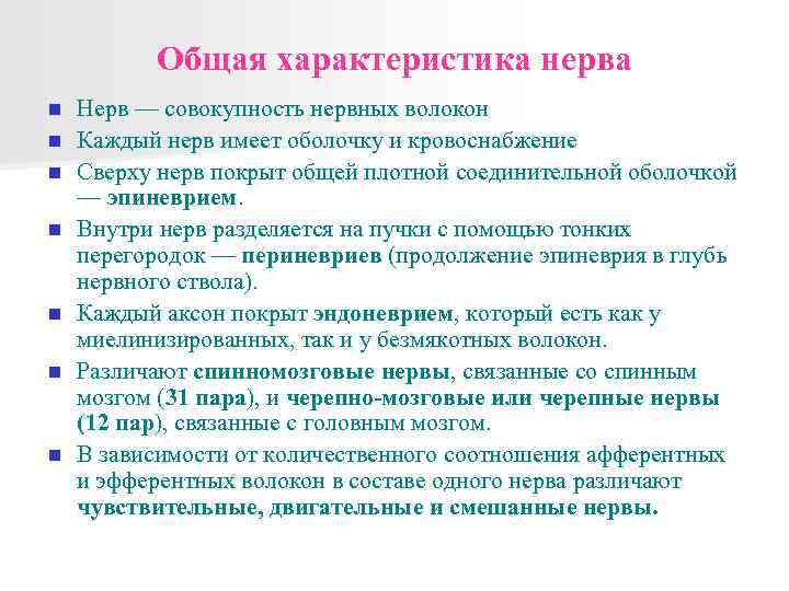 Общая характеристика нерва n n n n Нерв — совокупность нервных волокон Каждый нерв