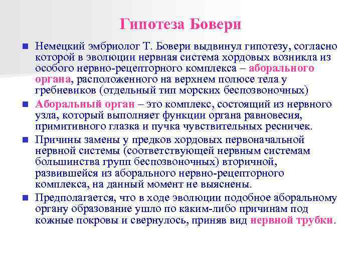 Гипотеза Бовери Немецкий эмбриолог Т. Бовери выдвинул гипотезу, согласно которой в эволюции нервная система