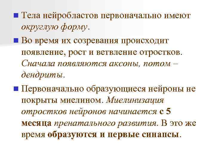 n Тела нейробластов первоначально имеют округлую форму. n Во время их созревания происходит появление,