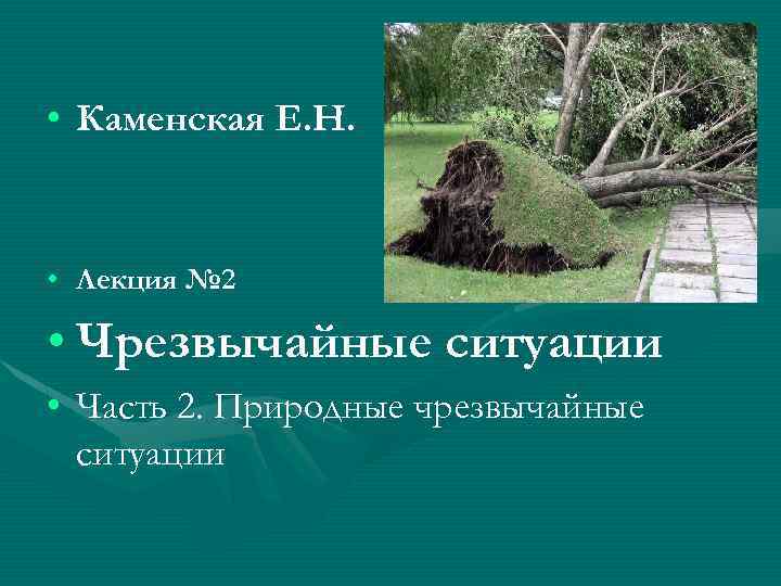  • Каменская Е. Н. • Лекция № 2 • Чрезвычайные ситуации • Часть