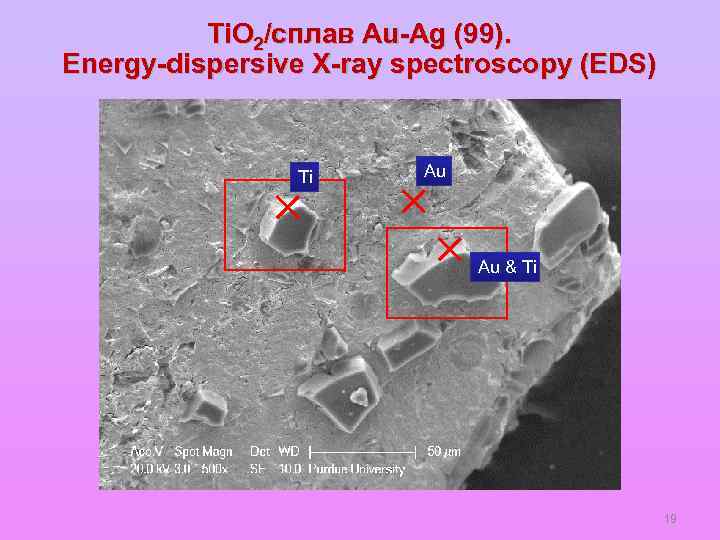 Ti. O 2/сплав Au-Ag (99). Energy-dispersive X-ray spectroscopy (EDS) Ti Au Au & Ti