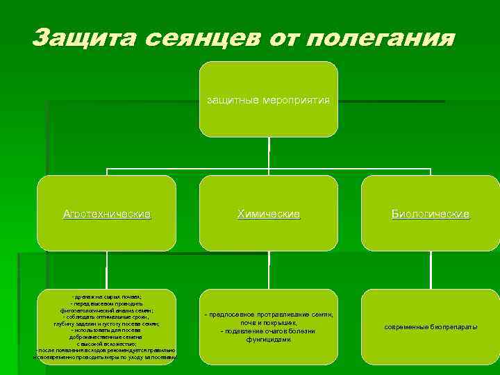 Защита сеянцев от полегания защитные мероприятия Агротехнические Химические Биологические - дренаж на сырых почвах;