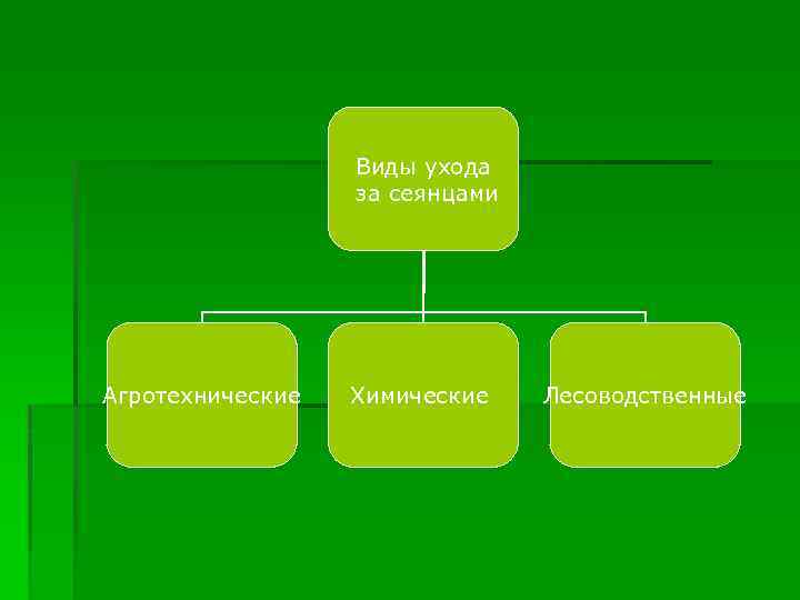 Виды ухода за сеянцами Агротехнические Химические Лесоводственные 